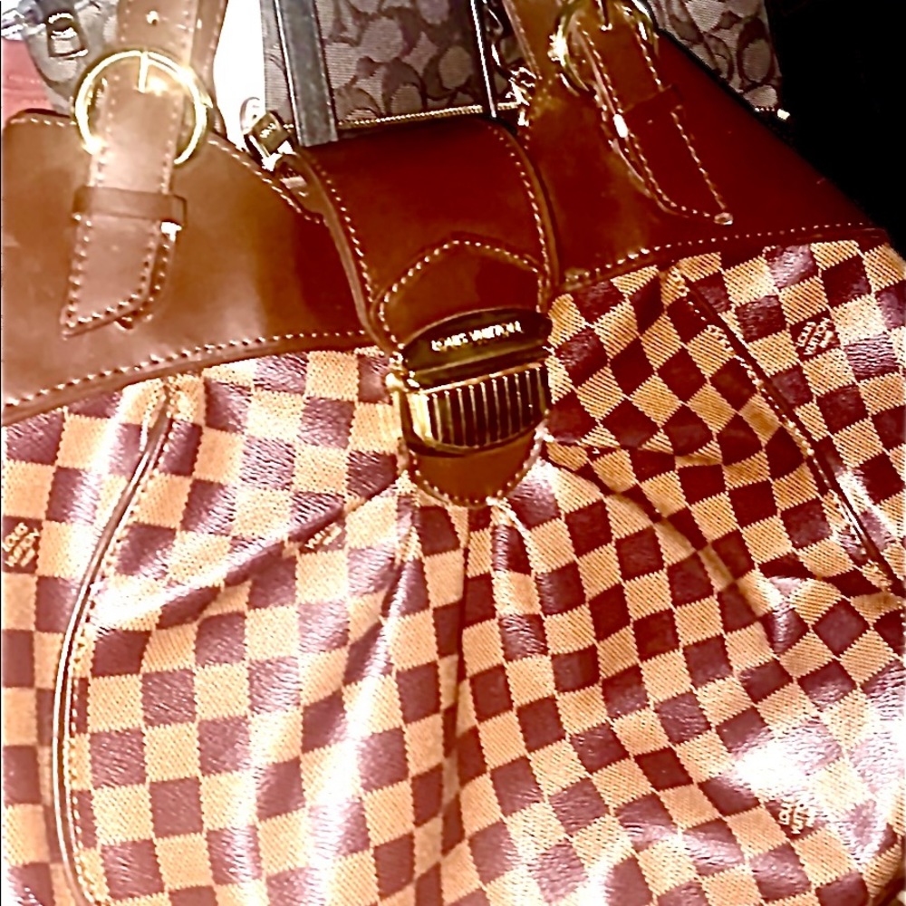 Luis Vuitton bag
